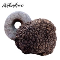 Katankura logo - Similar company to Terraforest