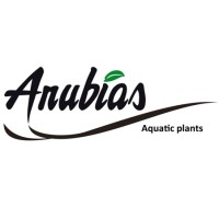 ANUBIAS Aquarium Plants logo - Similar company to Cesac Sca - Società Cooperativa Agricola