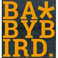 BabyBird logo - Similar company to Reliable Sources