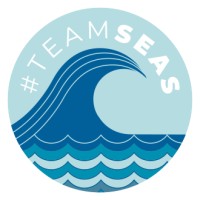 #TeamSeas logo - Similar company to Feastables