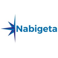 Nabigeta Cloud and Data Services logo - Similar company to Nicesi