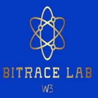 Bitrace Lab logo - Similar company to Virtual Artifacts Inc.