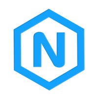 Naina Technology Solutions logo - Similar company to Maksan Solutions