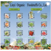 LINYI ORGANIC FOODSTUFFS CO.,LTD logo - Similar company to Wings Exim