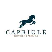 Capriole Developments logo - Similar company to Capriole Developments Eg