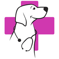 Mister Mascotas logo - Similar company to Animall