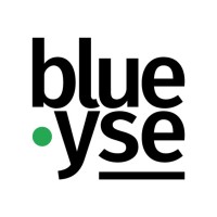 Blueyse logo - Similar company to Coloured Circle