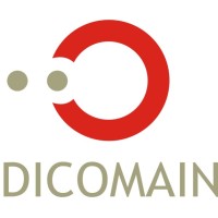 Dicomain Ingenieria Sl