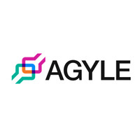 AGYLE - African-German Young Leaders in Business logo - Similar company to Fafali Organization