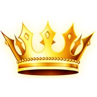 Stellar Sports Store