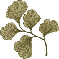 Darwin Ecology logo - Similar company to Acd Environmental