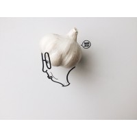 Underwater World Langkawi