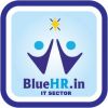 BlueHR logo - Similar company to Tarık Di̇nç