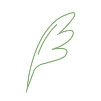 Striva Consulting