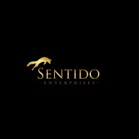 Sentido X-Tech Ltd logo - Similar company to Camea