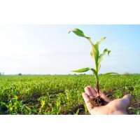 Shree Agro Pvt Ltd logo - Similar company to Csg Trade