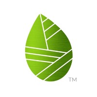 Everyday Life Consulting logo - Similar company to Alliance For Clinicians Equity (Ace)