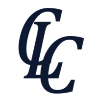 C-Level Consulting ApS logo - Similar company to Solid Search