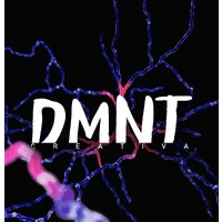 DMNT CREATIVA logo - Similar company to Bilans Erp