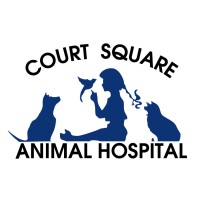 Court Square Animal Hospital logo - Similar company to Prism Veterinary Dentistry