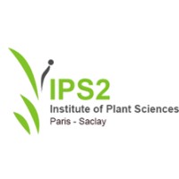 IPS2 logo - Similar company to Engreen Technologies