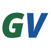 Gulfvisa Limited logo - Similar company to Medmentor 🩺