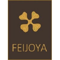 Feijoya Ltd logo - Similar company to Business Analytic Pro