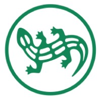 Salamander Georgia - სალამანდრა საქართველო logo - Similar company to Psolutions • პისოლუშენს