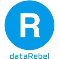 dataRebel logo - Similar company to Burningsuit