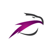 Sky Vision Airlines logo - Similar company to Flyegypt