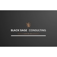 Black Sage Consulting logo - Similar company to Fenyasoft