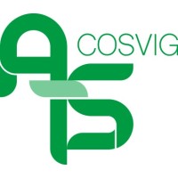 ATS Cosvig logo - Similar company to Gruppo Ibridge
