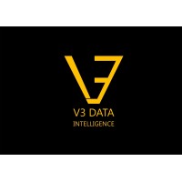 V3 Data Intelligence Private Limited logo - Similar company to Streamline It Services Inc
