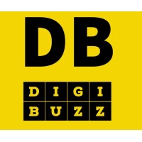 DigiBuzz logo - Similar company to Programma Informatievoorziening