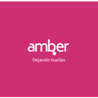 RED AMBER logo - Similar company to Engagement Foundation