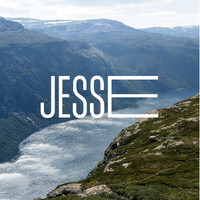 Jesse Scholten Program logo - Similar company to Project22