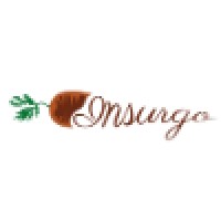 Insurgo