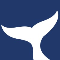 ORCA MAREE logo - Similar company to Mj Marée