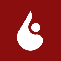 Zanafilla logo - Similar company to Inform | Custom Embedded Software & Medical Hardware
