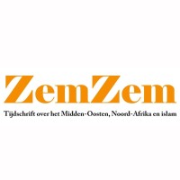 ZemZem logo - Similar company to Randstad Bewaking