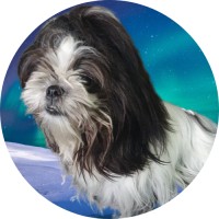 Dogcare-clickbankbestsellers logo - Similar company to Dogcare, Inc