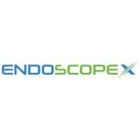 EndoscopeX logo - Similar company to Intessence Solutions Pvt. Ltd.