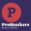 ProBankers - Jobs in BFSI sector logo - Similar company to Career Solution Services