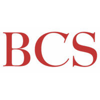 Business Control (Schweiz) AG logo - Similar company to Roesle Frick & Partners