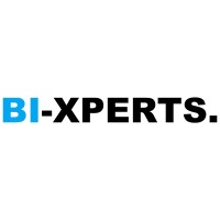 BI-XPERTS logo - Similar company to Productflow