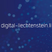 digital-liechtenstein.li logo - Similar company to Nextway Software