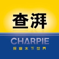 Charpie ROV logo - Similar company to Tech Stream Spa