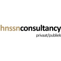 Hnssn Consultancy logo - Similar company to Hnss Global