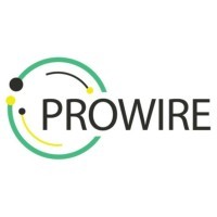 Prowire Online logo - Similar company to Athgadlang
