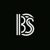 BJS Consulting logo - Similar company to Webuild-Ai